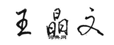 骆恒光王晶文行书个性签名怎么写