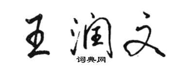 骆恒光王润文行书个性签名怎么写