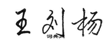 骆恒光王刘杨行书个性签名怎么写