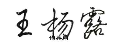 骆恒光王杨露行书个性签名怎么写