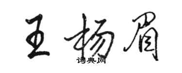 骆恒光王杨眉行书个性签名怎么写