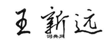 骆恒光王新远行书个性签名怎么写
