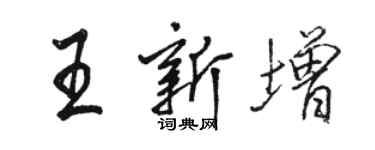 骆恒光王新增行书个性签名怎么写