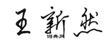 骆恒光王新然行书个性签名怎么写