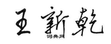 骆恒光王新乾行书个性签名怎么写