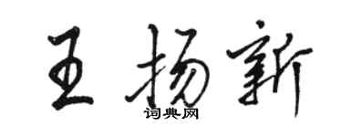 骆恒光王扬新行书个性签名怎么写