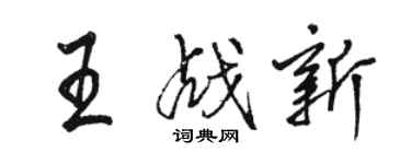 骆恒光王战新行书个性签名怎么写