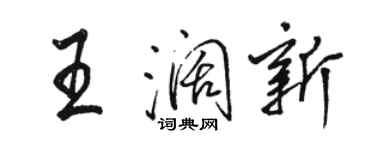 骆恒光王阔新行书个性签名怎么写