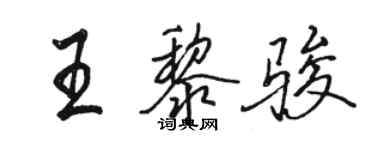 骆恒光王黎骏行书个性签名怎么写