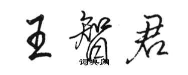 骆恒光王智君行书个性签名怎么写