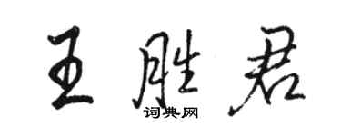 骆恒光王胜君行书个性签名怎么写