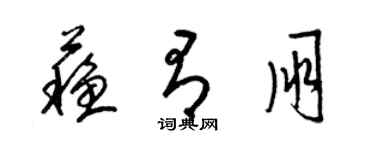 梁锦英苏有朋草书个性签名怎么写