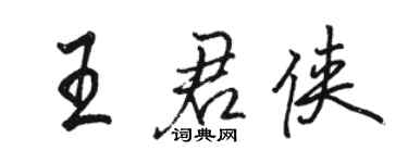 骆恒光王君侠行书个性签名怎么写