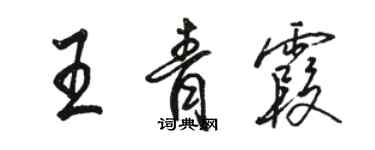 骆恒光王青霞行书个性签名怎么写