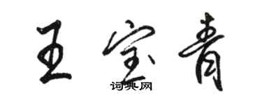 骆恒光王宝青行书个性签名怎么写