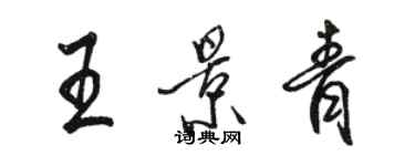 骆恒光王景青行书个性签名怎么写