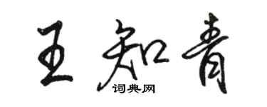 骆恒光王知青行书个性签名怎么写