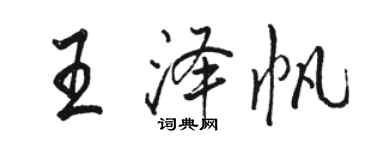 骆恒光王泽帆行书个性签名怎么写