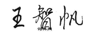 骆恒光王智帆行书个性签名怎么写