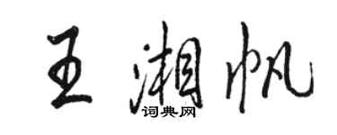 骆恒光王湘帆行书个性签名怎么写