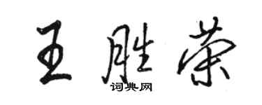 骆恒光王胜荣行书个性签名怎么写