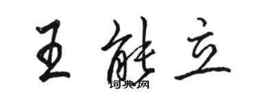 骆恒光王能立行书个性签名怎么写