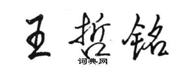 骆恒光王哲铭行书个性签名怎么写