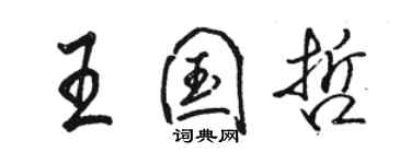 骆恒光王国哲行书个性签名怎么写