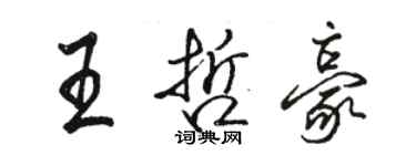 骆恒光王哲豪行书个性签名怎么写