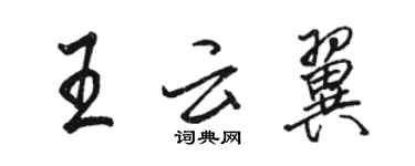 骆恒光王云翼行书个性签名怎么写
