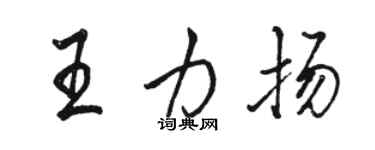 骆恒光王力扬行书个性签名怎么写
