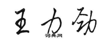 骆恒光王力劲行书个性签名怎么写
