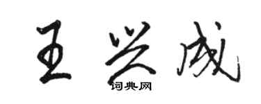 骆恒光王兴成行书个性签名怎么写