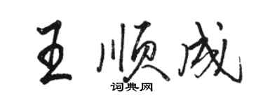 骆恒光王顺成行书个性签名怎么写
