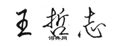 骆恒光王哲志行书个性签名怎么写