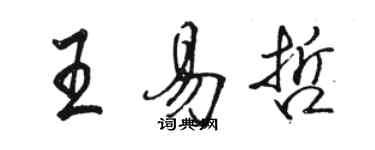 骆恒光王易哲行书个性签名怎么写