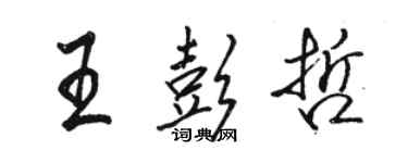 骆恒光王彭哲行书个性签名怎么写