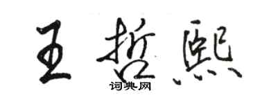 骆恒光王哲熙行书个性签名怎么写