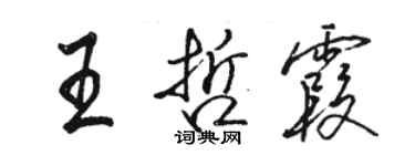 骆恒光王哲霞行书个性签名怎么写