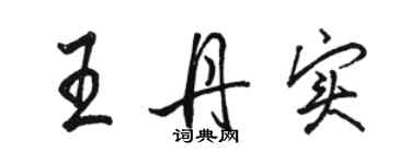 骆恒光王丹实行书个性签名怎么写