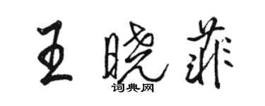 骆恒光王晓菲行书个性签名怎么写