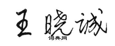 骆恒光王晓诚行书个性签名怎么写