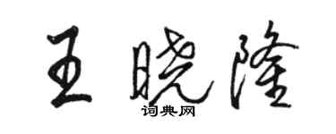 骆恒光王晓隆行书个性签名怎么写