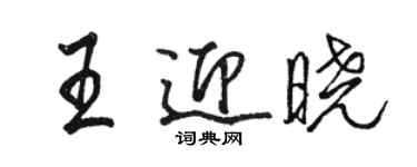 骆恒光王迎晓行书个性签名怎么写