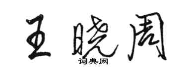 骆恒光王晓周行书个性签名怎么写