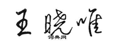骆恒光王晓唯行书个性签名怎么写