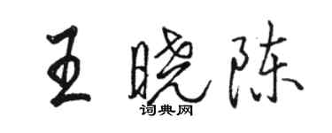 骆恒光王晓陈行书个性签名怎么写