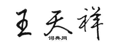 骆恒光王天祥行书个性签名怎么写