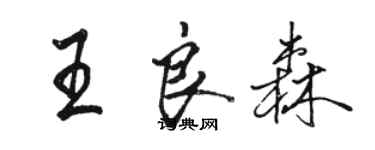 骆恒光王良森行书个性签名怎么写