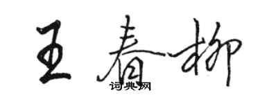 骆恒光王春柳行书个性签名怎么写